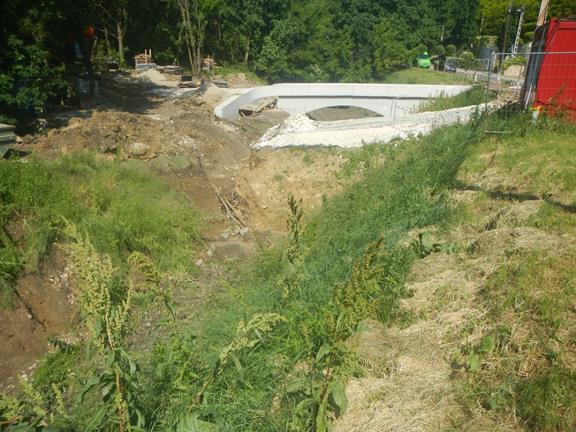 2 PÁFRÁNY hídépítés DSCN7545 (Copy)