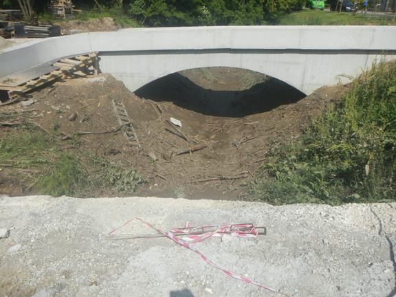 3 PÁFRÁNY hídépítés DSCN7526 (Copy)